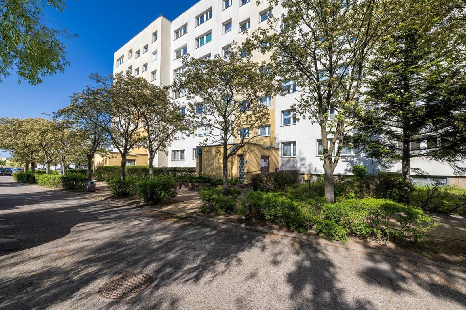 Top Gdańsk Top Gdańsk